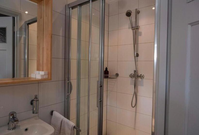 带大床的标准间, Holt