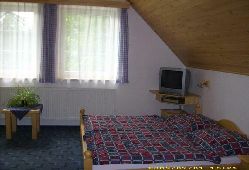 غرفة قياسية, Pension Holubec