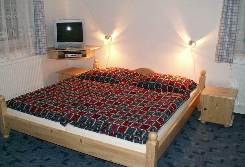 غرفة قياسية, Pension Holubec