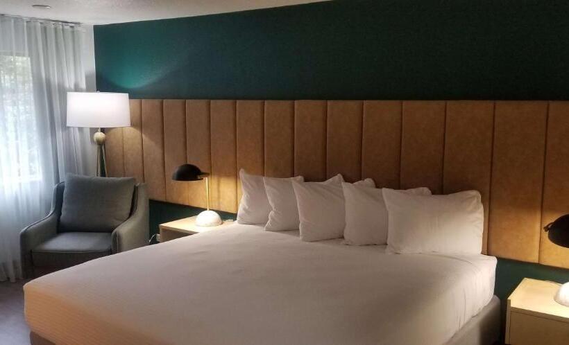 带大床的套房, Best Western Portland West Beaverton