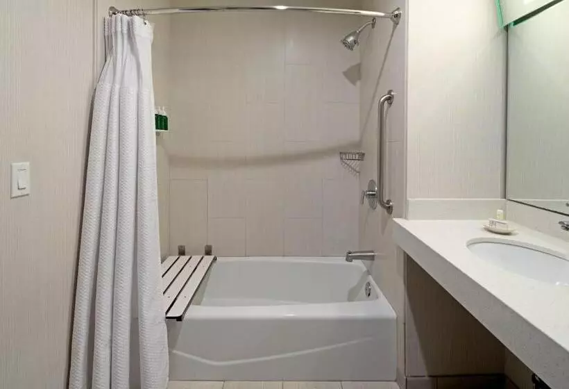 اتاق استاندارد با تخت بزرگ, Courtyard By Marriott Oxnard/ventura