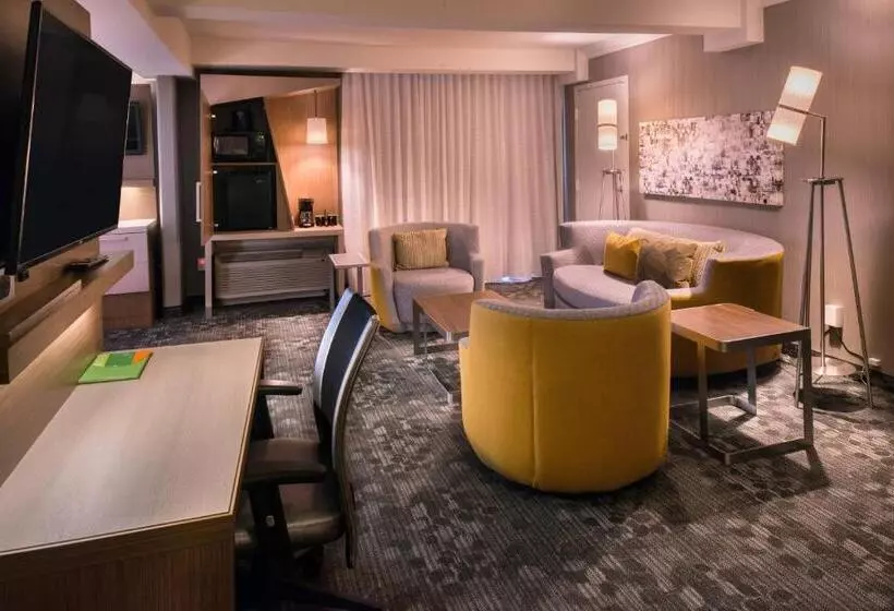 سوئیت با تخت بزرگ, Courtyard By Marriott Oxnard/ventura