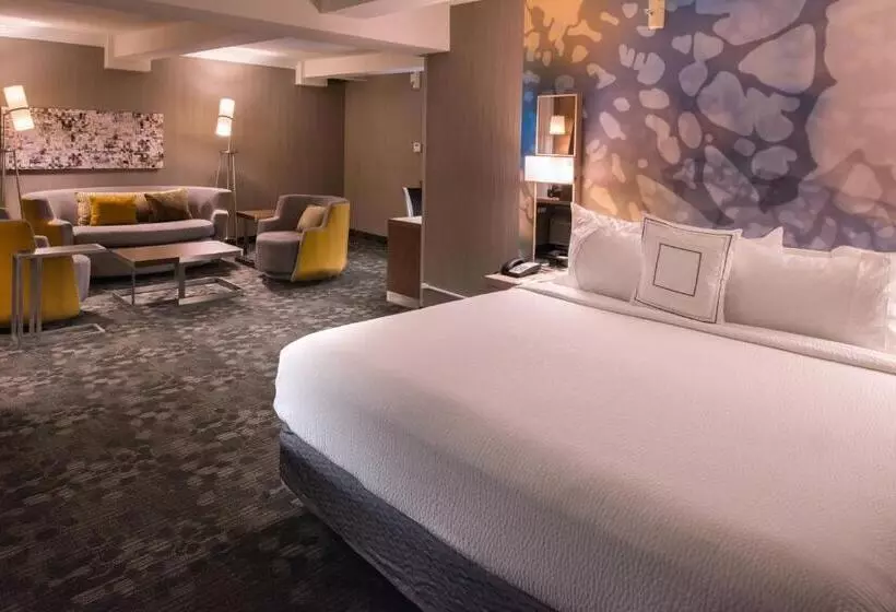 سوئیت با تخت بزرگ, Courtyard By Marriott Oxnard/ventura