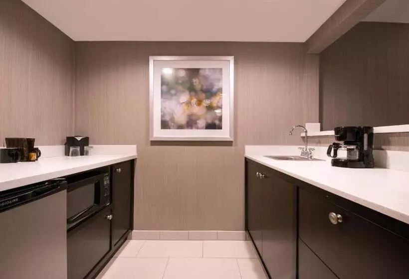 سوئیت اجرایی با تخت کینگ, Courtyard By Marriott Oxnard/ventura