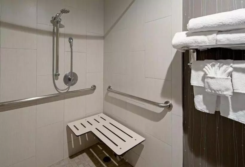 اتاق استاندارد با تخت بزرگ برای معلولان, Courtyard By Marriott Oxnard/ventura