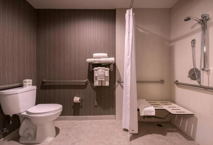 장애인을 위한 킹사이즈 침대 스탠다드 룸, Courtyard By Marriott Oxnard/ventura