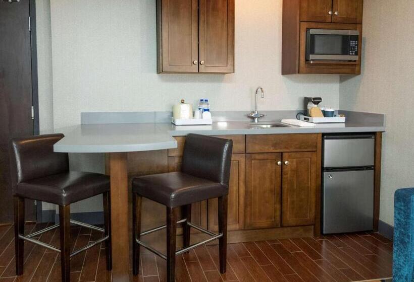 带大床的套房, Crowne Plaza Niagara Falls Ny   Riverside, An Ihg