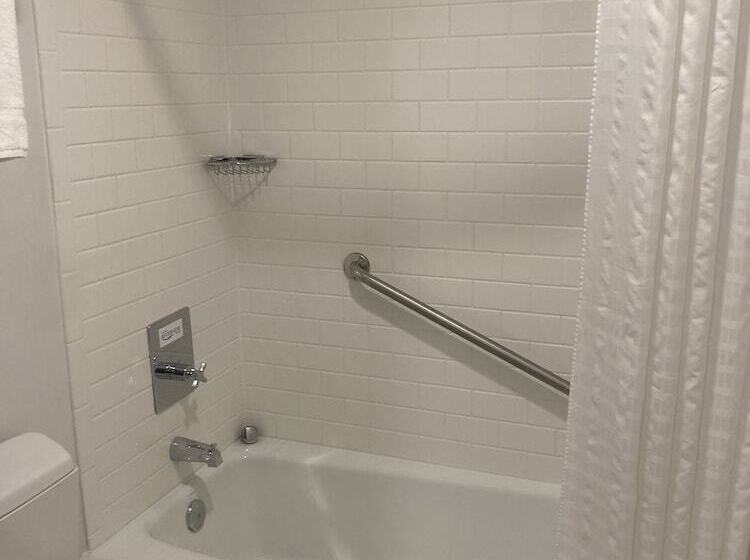 带2个双人床的标准工作室, Crowne Plaza Niagara Falls Ny   Riverside, An Ihg