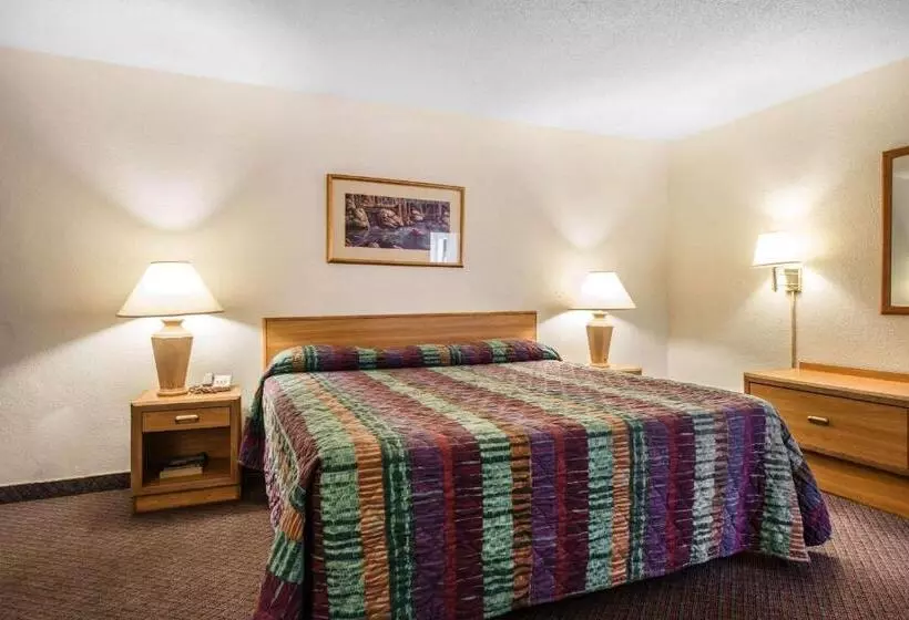 اتاق استاندارد با تخت بزرگ, Rodeway Inn & Suites