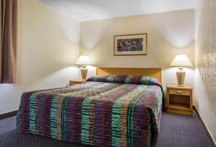 سوئیت با تخت بزرگ, Rodeway Inn & Suites
