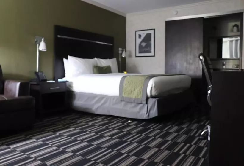 اتاق استاندارد با تخت بزرگ, Uptown Oasis San Jose Airport