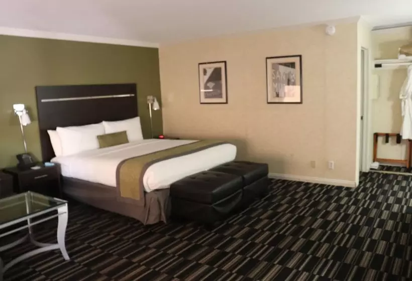 اتاق استاندارد با تخت بزرگ, Uptown Oasis San Jose Airport
