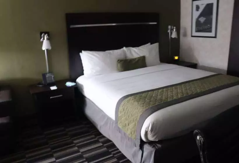 اتاق استاندارد با تخت بزرگ, Uptown Oasis San Jose Airport