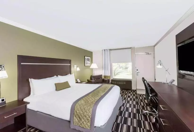 اتاق استاندارد با تخت بزرگ, Uptown Oasis San Jose Airport