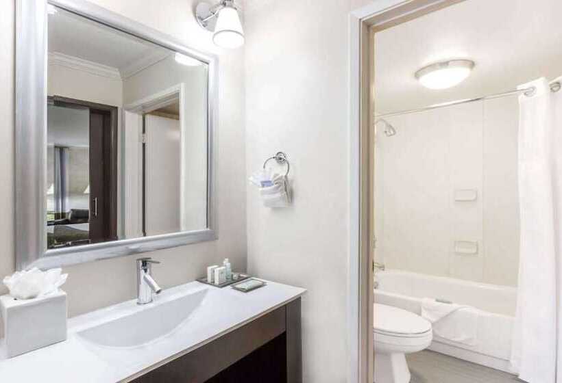 غرفة ديلوكس, Uptown Oasis San Jose Airport