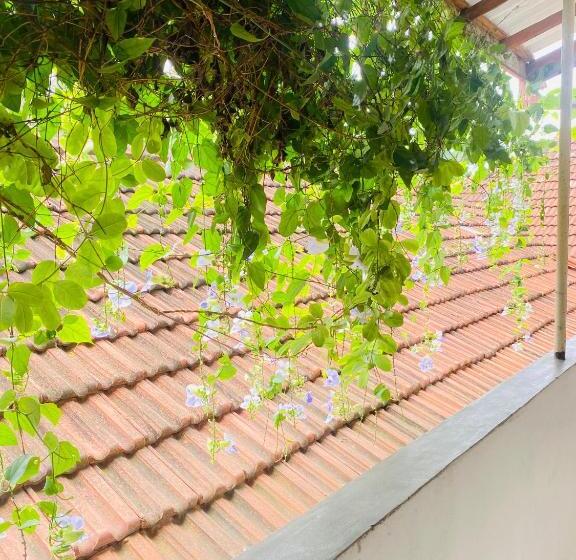 标准间带阳台, Coconut Reach