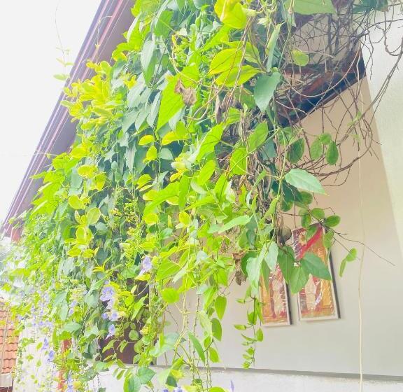 标准间带阳台, Coconut Reach