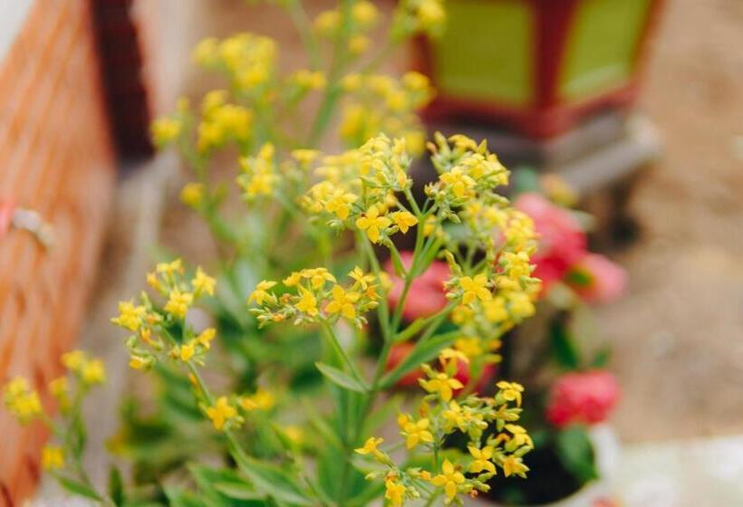 اتاق استاندارد با چشمانداز باغ, Phong Nha Love Homestay