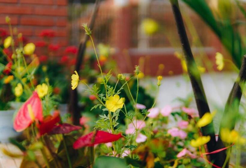 اتاق استاندارد یک نفره, Phong Nha Love Homestay