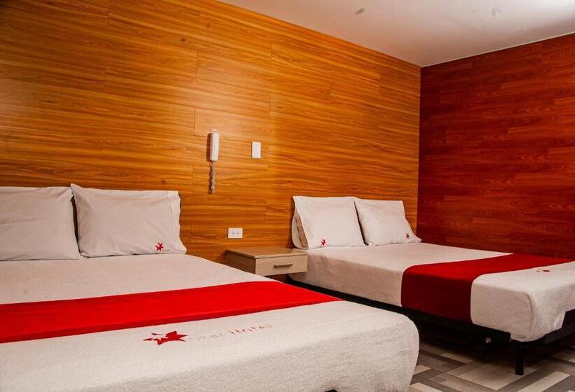 经济房, Star Pasto