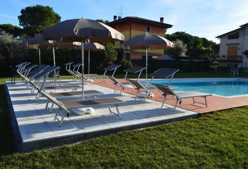 اتاق لوکس با چشم‌انداز استخر, The Swan B&b