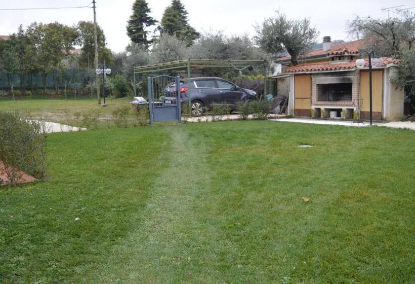 اتاق لوکس با چشم‌انداز استخر, The Swan B&b