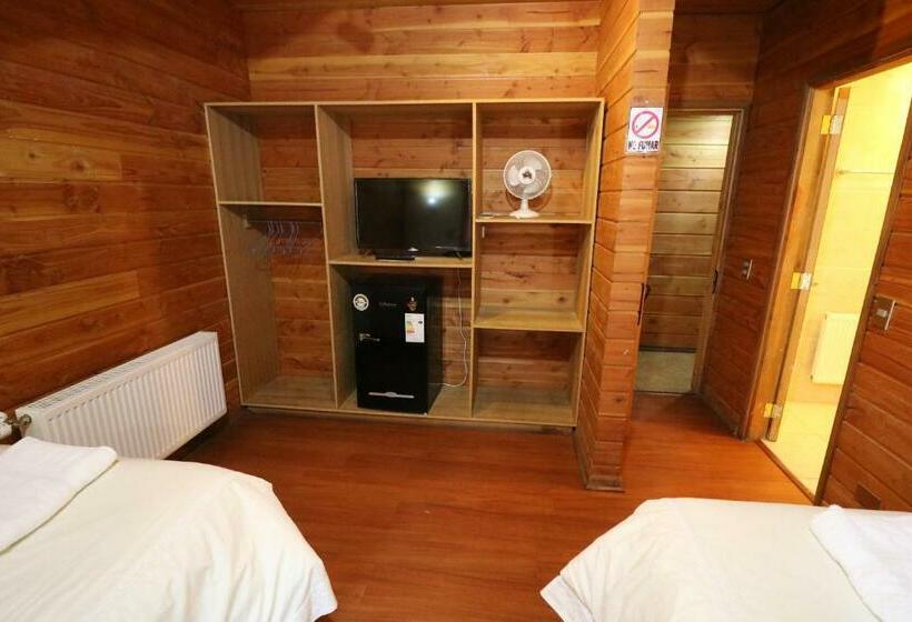 اتاق استاندارد, Santa Maria Pucon