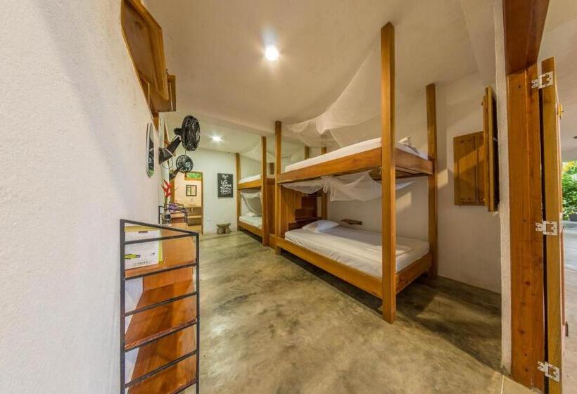 מיטה בחדר משותף, Casa Chapolin Boutique Guesthouse