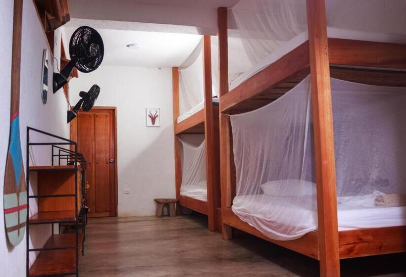 מיטה בחדר משותף, Casa Chapolin Boutique Guesthouse