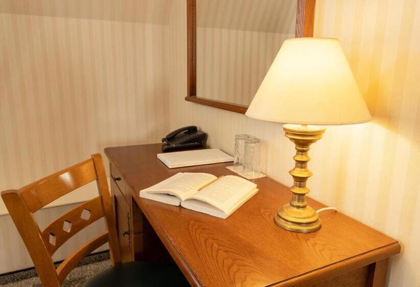 스파 이용가능한 스탠다드 룸, Tsarevets Design And Spa