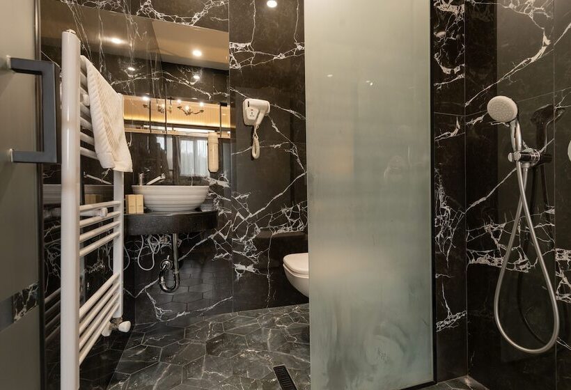 스탠다드 룸, Tsarevets Design And Spa