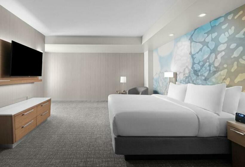 스위트 킹사이즈 침대, Courtyard By Marriott Clearwater Beach