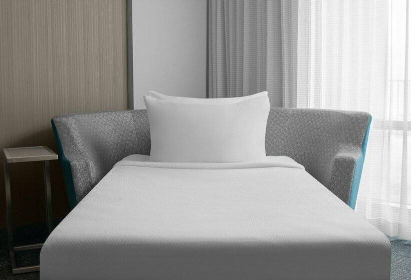 شقة ديلوكس غرفة واحدة, Courtyard By Marriott Clearwater Beach