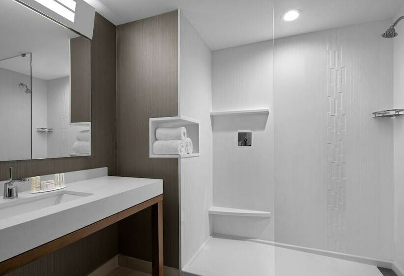 غرفة قياسية سرير مزدوج ذات إطلالة, Courtyard By Marriott Clearwater Beach