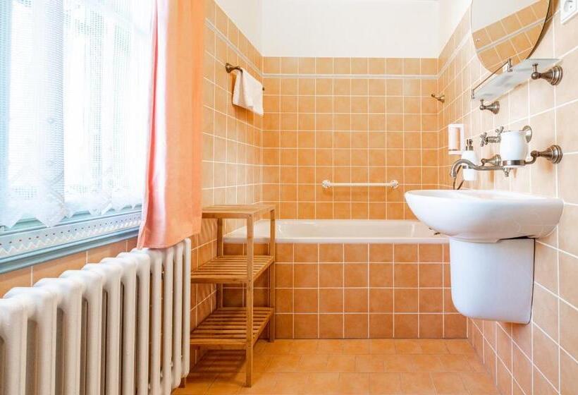 חדר סטנדרט מותאם לאדם עם מוגבלויות, Libušín & Maměnka Národní Kulturní Památky