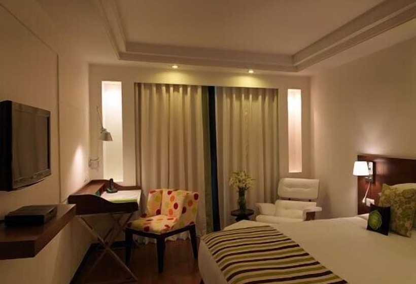 Cameră Deluxe, Peppermint