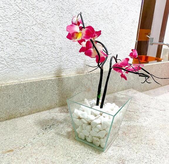 דירת חדר, Rodotel Vênus Prime