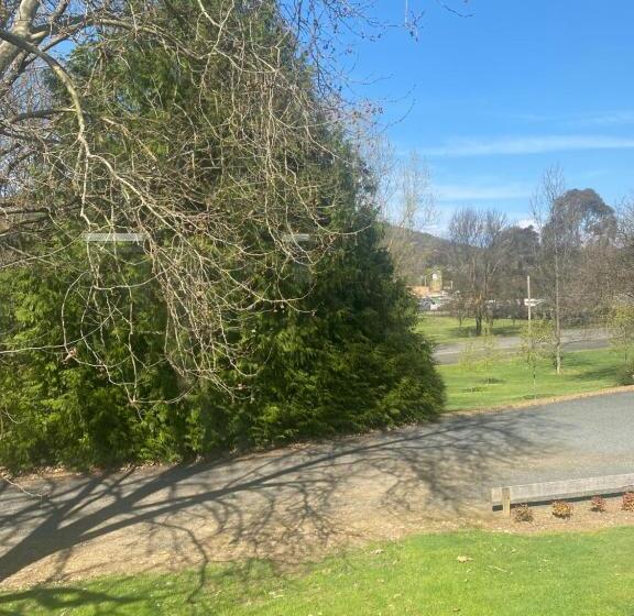 带大床的豪华间, Tumbarumba Motel & Elms Restaurant