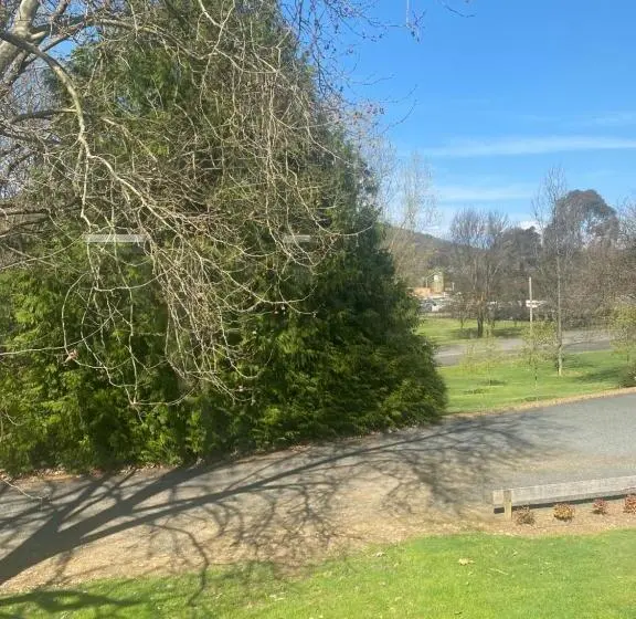キングサイズベッドのデラックスルーム, Tumbarumba Motel & Elms Restaurant