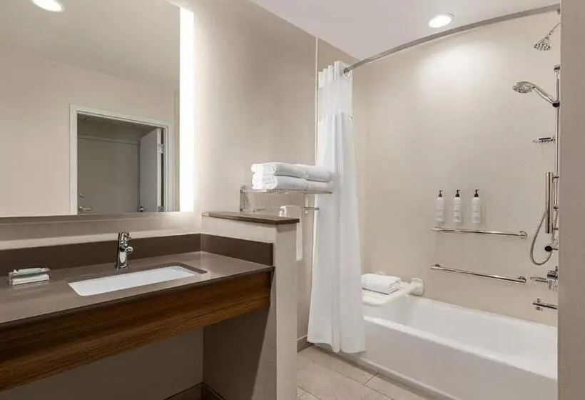 スタンダードルーム, Fairfield By Marriott Inn & Suites Bonita Springs
