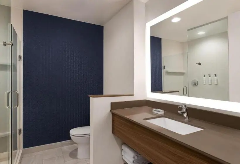 身障者適用キングサイズベッドルーム, Fairfield By Marriott Inn & Suites Bonita Springs