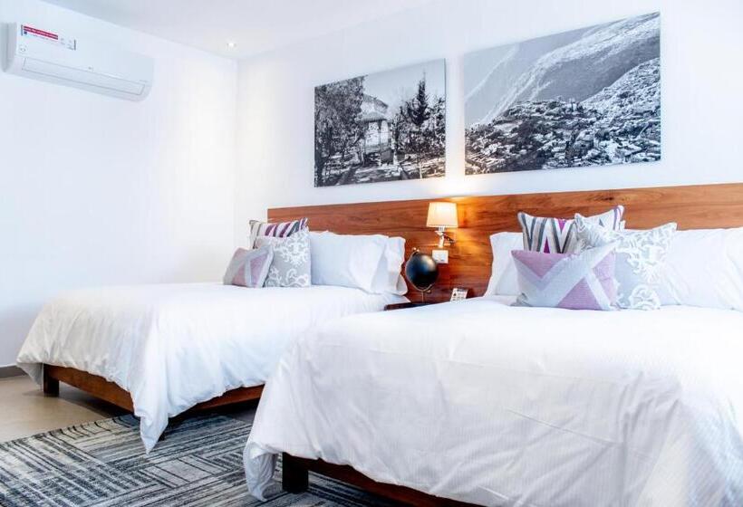 标准间, Mina Real Matehuala