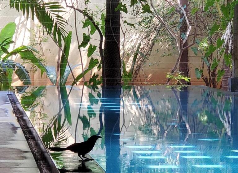 חדר סטנדרט, Kariappa House