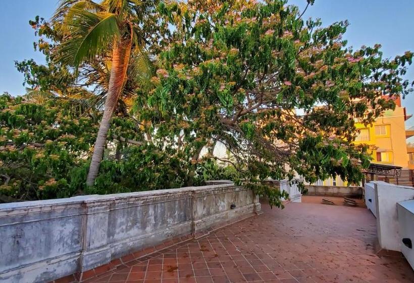 חדר סטנדרט יחיד, Kariappa House