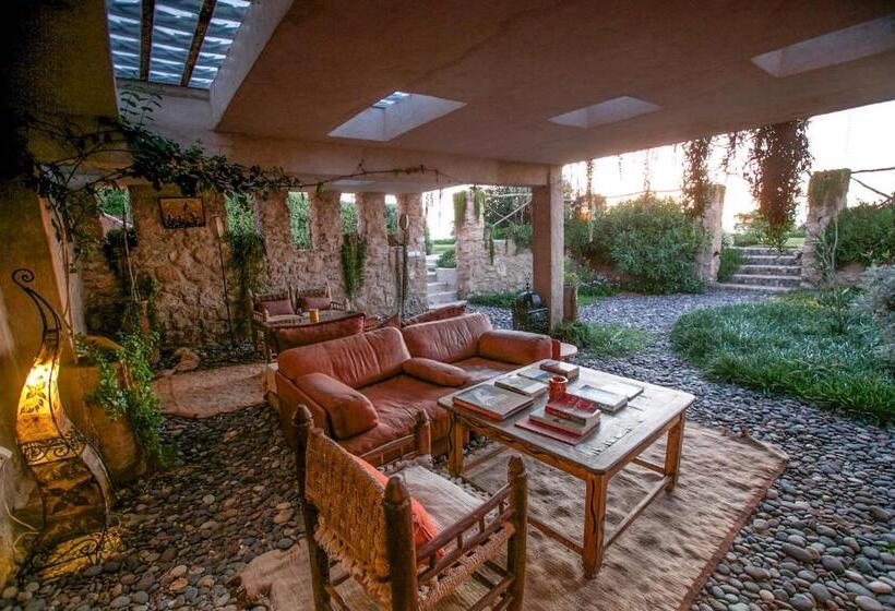 جناح عائلي, Dar Danse, The Bubble On The Beach