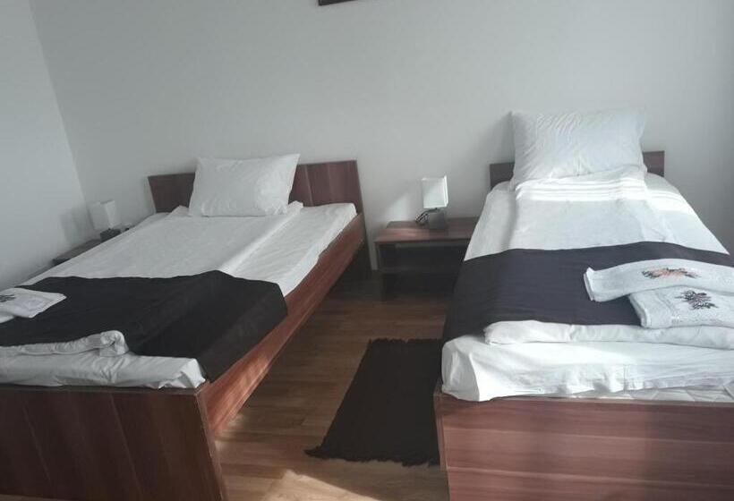 חדר סטנדרט עם מרפסת, Pensiunea Casa Ungur