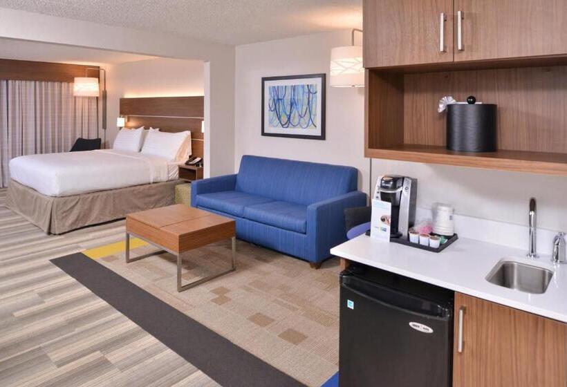 Estudi Estàndard Llit King, Holiday Inn Express Hotel & Suites Indianapolis Dtn Conv Ctr, An Ihg