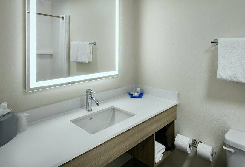 غرفة قياسية سرير مزدوج, Holiday Inn Express Lewiston, An Ihg