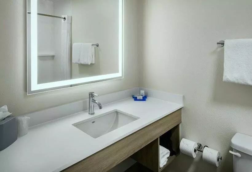 اتاق استاندارد با تخت دوبل, Holiday Inn Express Lewiston, An Ihg