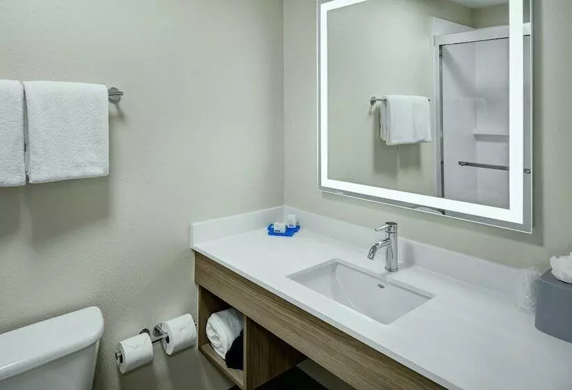 اتاق استاندارد با تخت دوبل, Holiday Inn Express Lewiston, An Ihg